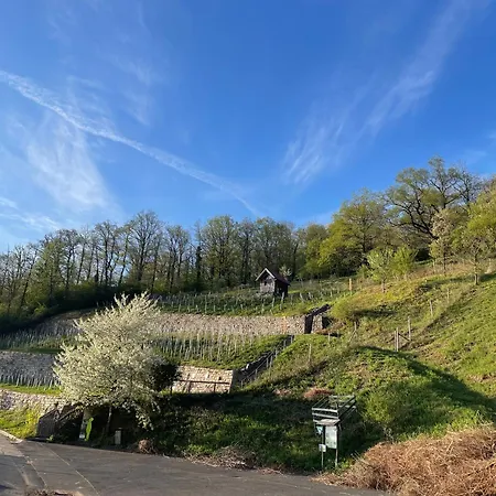 Fraenkisches Nest Am Schwanberg Fuer 2-4 Personen - In Der Naehe Aller Weingueter, Knauf Gips Kg Und Connekt شقة